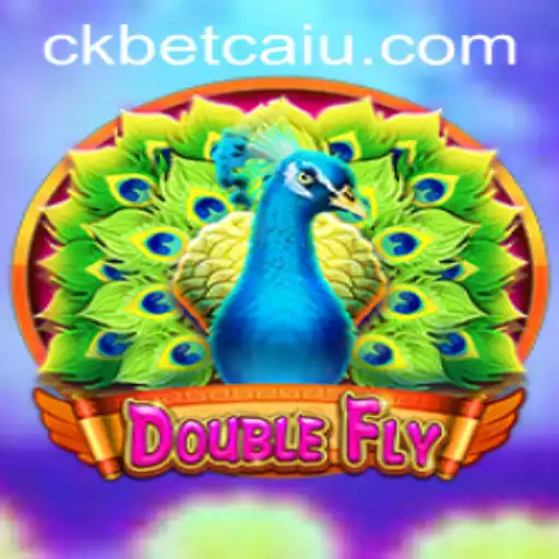 DoubleFly: Descubra o Fascinante Mundo do Jogo e Suas Regras